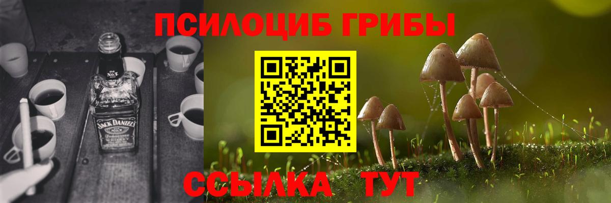 Галлюциногенные грибы мухоморы Южно-Сахалинск